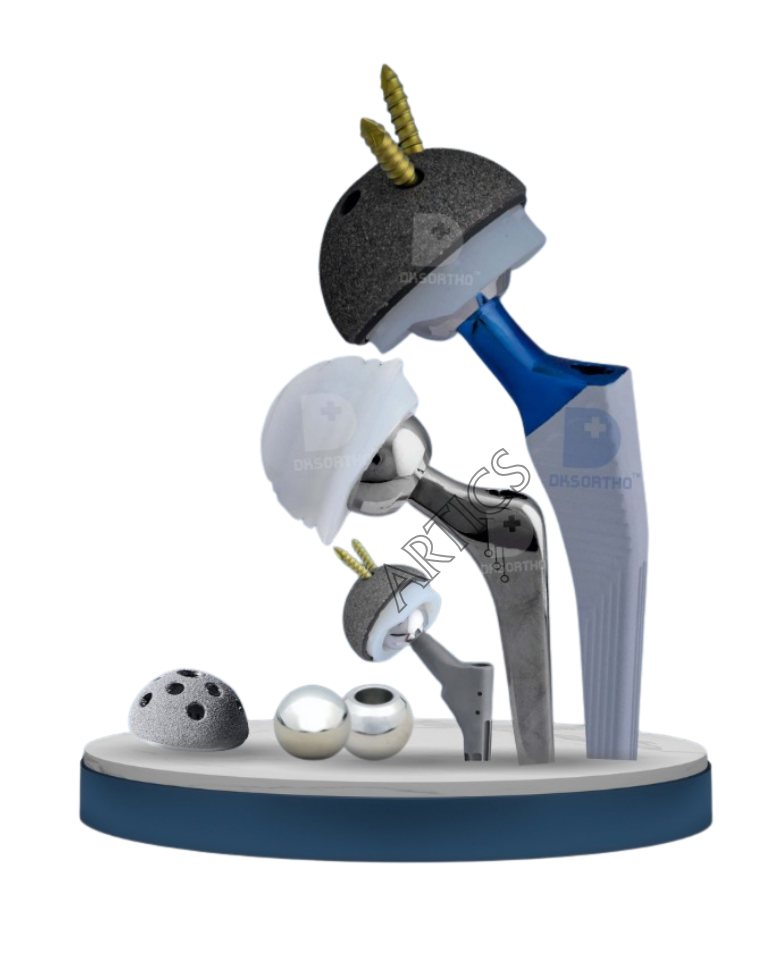 Hip Replacement system